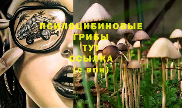 МДПВ Михайловка