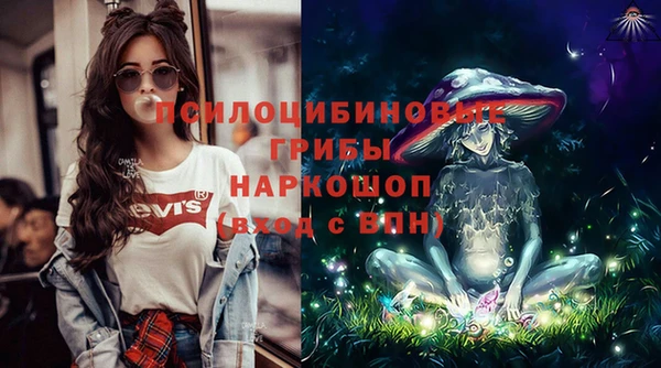 МДПВ Михайловка
