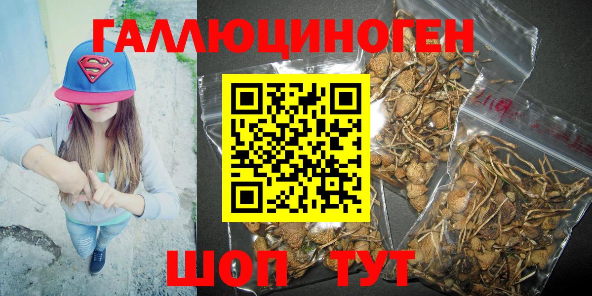 Псилоцибиновые грибы GOLDEN TEACHER  Долгопрудный 