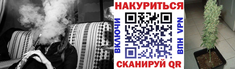 Бошки Шишки VHQ Долгопрудный